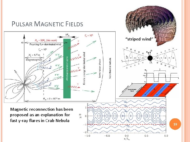 PULSAR MAGNETIC FIELDS “striped wind” Magnetic reconnection has been proposed as an explanation for