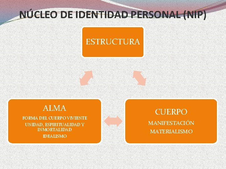 NÚCLEO DE IDENTIDAD PERSONAL (NIP) ESTRUCTURA ALMA FORMA DEL CUERPO VIVIENTE UNIDAD, ESPIRITUALIDAD Y