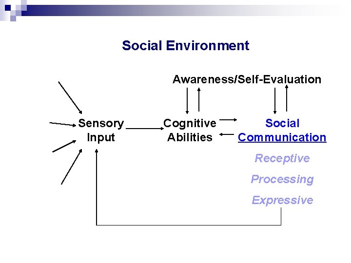 Social Environment Awareness/Self-Evaluation Sensory Input Cognitive Abilities Social Communication Receptive Processing Expressive 