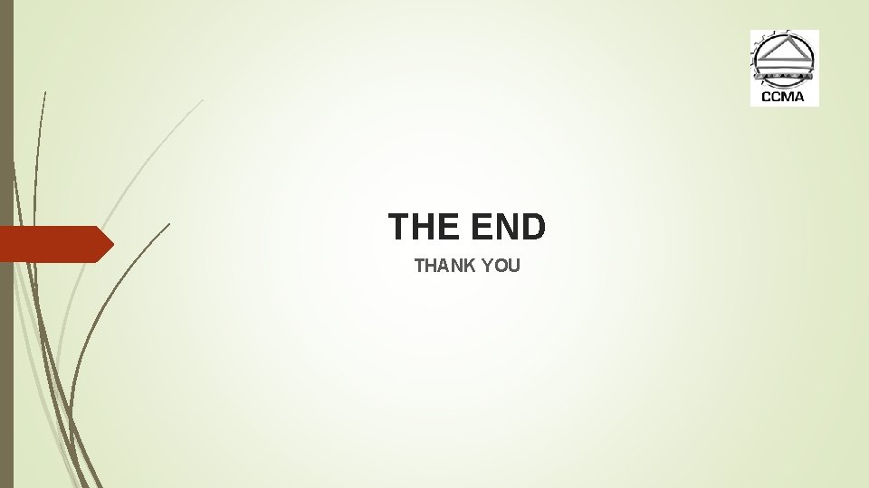 THE END THANK YOU 