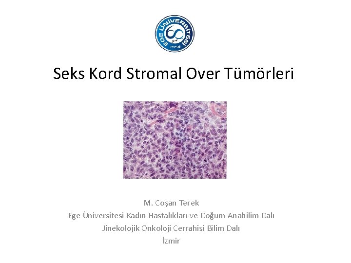 Seks Kord Stromal Over Tümörleri M. Coşan Terek Ege Üniversitesi Kadın Hastalıkları ve Doğum