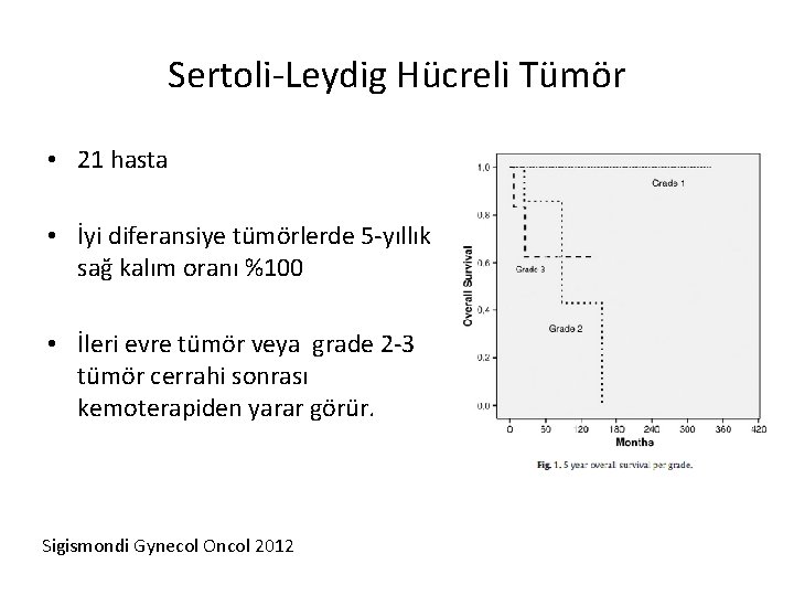 Sertoli-Leydig Hücreli Tümör • 21 hasta • İyi diferansiye tümörlerde 5 -yıllık sağ kalım
