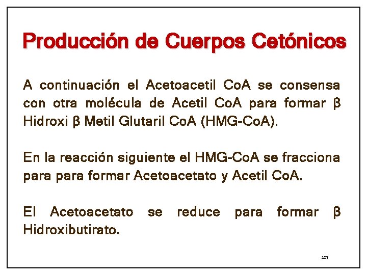 Producción de Cuerpos Cetónicos A continuación el Acetoacetil Co. A se consensa con otra