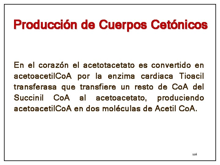 Producción de Cuerpos Cetónicos En el corazón el acetotacetato es convertido en acetoacetil. Co.