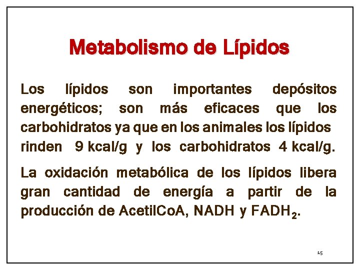 Metabolismo de Lípidos Los lípidos son importantes depósitos energéticos; son más eficaces que los