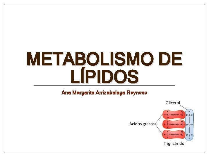 METABOLISMO DE LÍPIDOS Ana Margarita Arrizabalaga Reynoso 