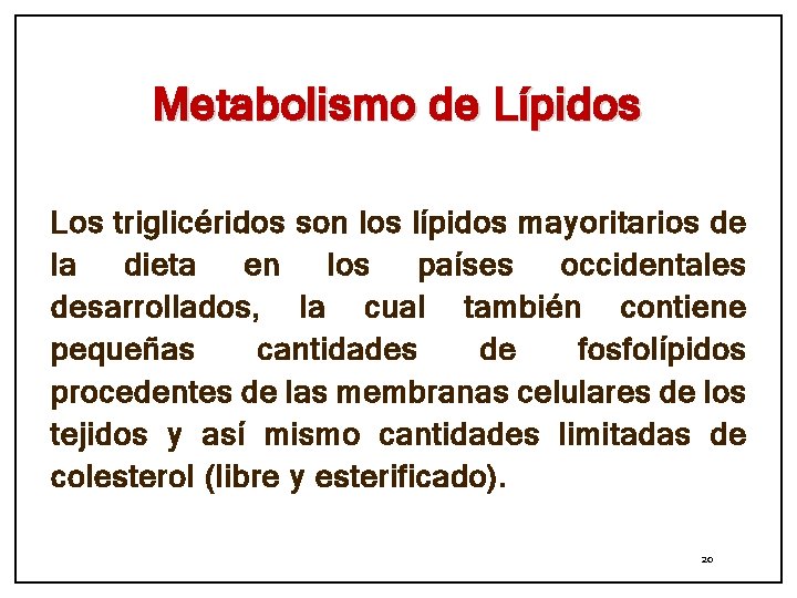 Metabolismo de Lípidos Los triglicéridos son los lípidos mayoritarios de la dieta en los
