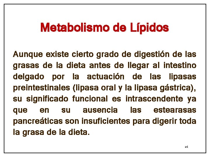 Metabolismo de Lípidos Aunque existe cierto grado de digestión de las grasas de la