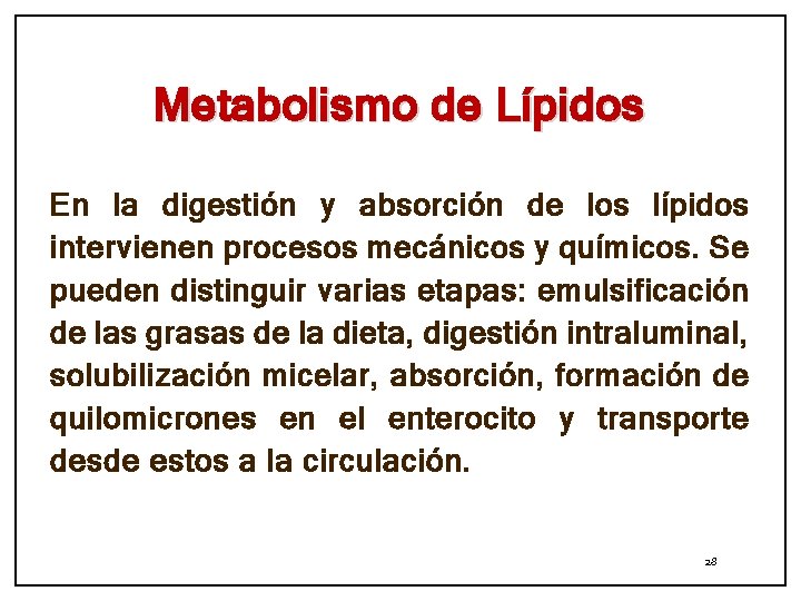 Metabolismo de Lípidos En la digestión y absorción de los lípidos intervienen procesos mecánicos