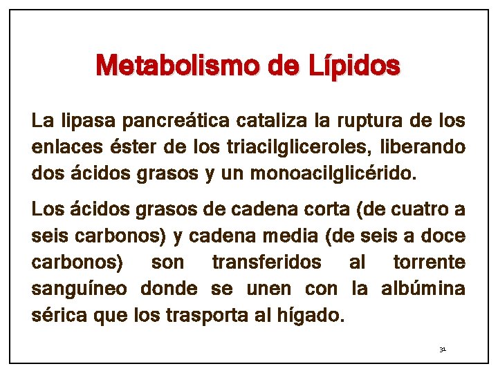 Metabolismo de Lípidos La lipasa pancreática cataliza la ruptura de los enlaces éster de