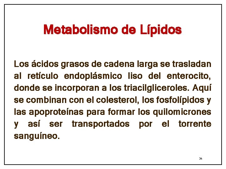 Metabolismo de Lípidos Los ácidos grasos de cadena larga se trasladan al retículo endoplásmico