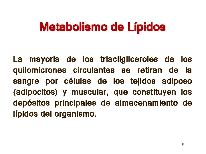 Metabolismo de Lípidos La mayoría de los triacilgliceroles de los quilomicrones circulantes se retiran