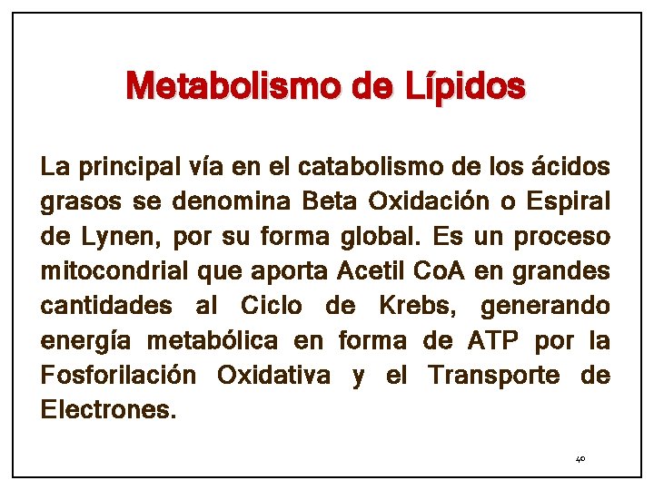 Metabolismo de Lípidos La principal vía en el catabolismo de los ácidos grasos se