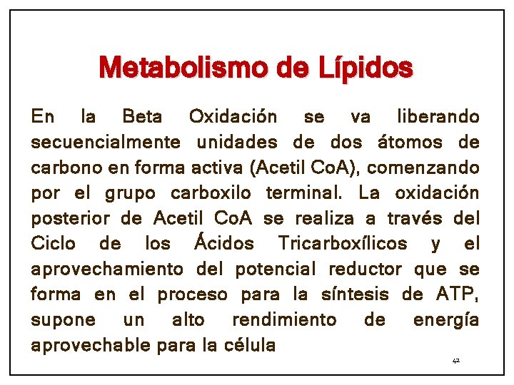 Metabolismo de Lípidos En la Beta Oxidación se va liberando secuencialmente unidades de dos