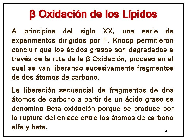 β Oxidación de los Lípidos A principios del siglo XX, una serie de experimentos