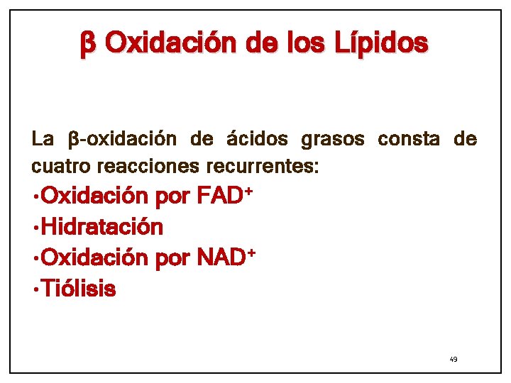β Oxidación de los Lípidos La β-oxidación de ácidos grasos consta de cuatro reacciones