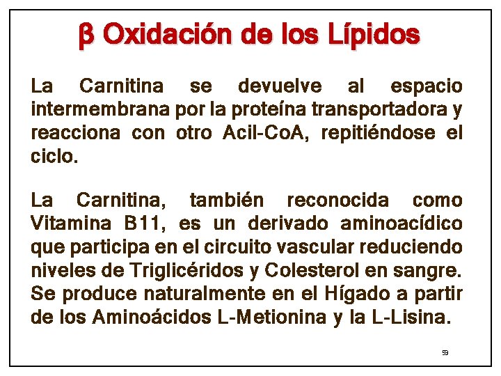 β Oxidación de los Lípidos La Carnitina se devuelve al espacio intermembrana por la