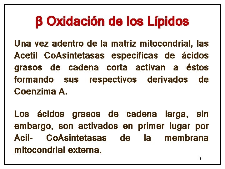β Oxidación de los Lípidos Una vez adentro de la matriz mitocondrial, las Acetil