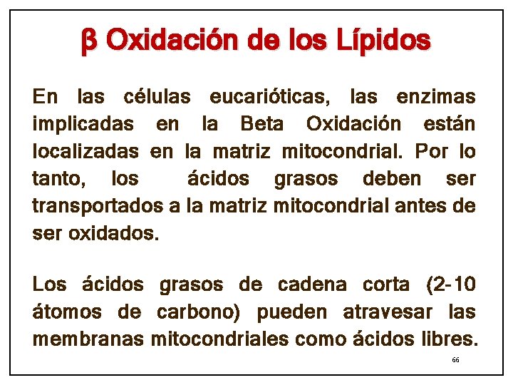 β Oxidación de los Lípidos En las células eucarióticas, las enzimas implicadas en la