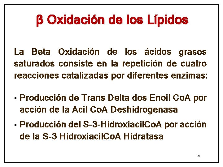 β Oxidación de los Lípidos La Beta Oxidación de los ácidos grasos saturados consiste