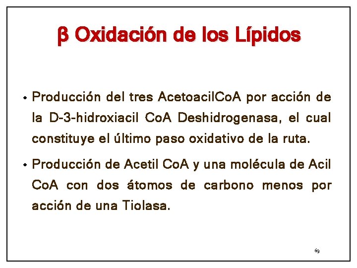 β Oxidación de los Lípidos • Producción del tres Acetoacil. Co. A por acción