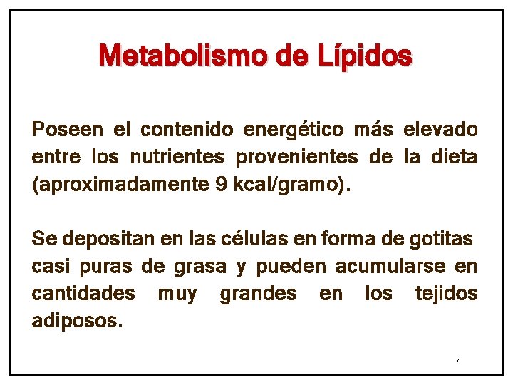 Metabolismo de Lípidos Poseen el contenido energético más elevado entre los nutrientes provenientes de