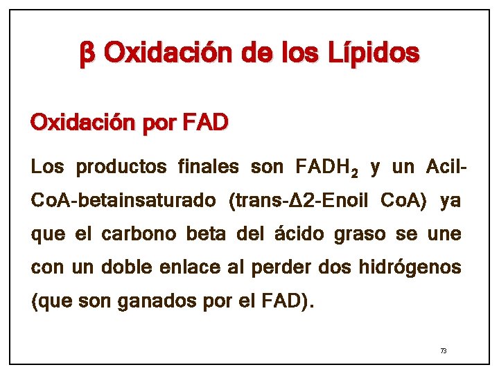 β Oxidación de los Lípidos Oxidación por FAD Los productos finales son FADH 2