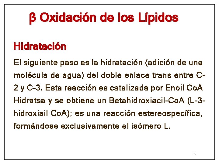 β Oxidación de los Lípidos Hidratación El siguiente paso es la hidratación (adición de
