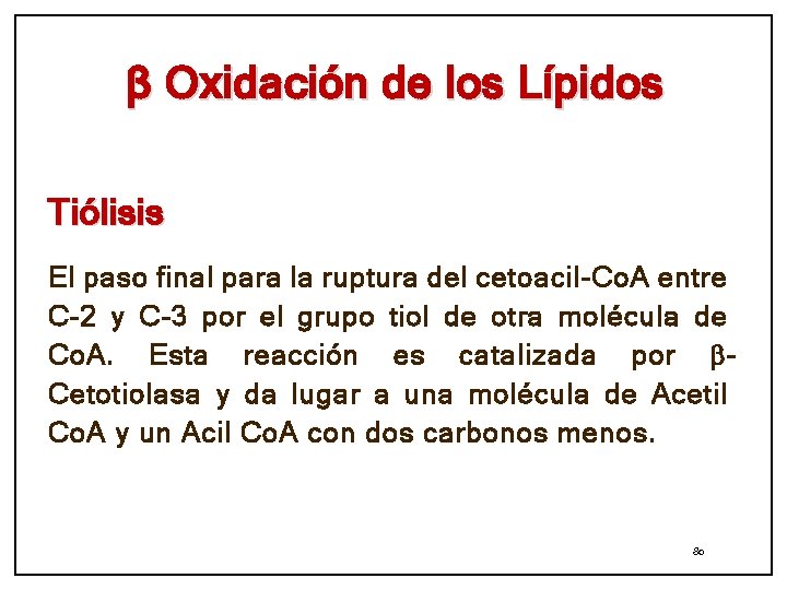 β Oxidación de los Lípidos Tiólisis El paso final para la ruptura del cetoacil-Co.