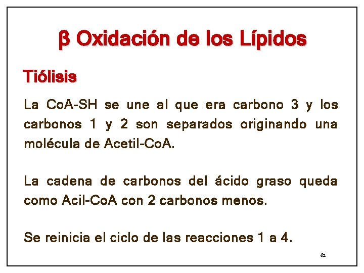 β Oxidación de los Lípidos Tiólisis La Co. A-SH se une al que era