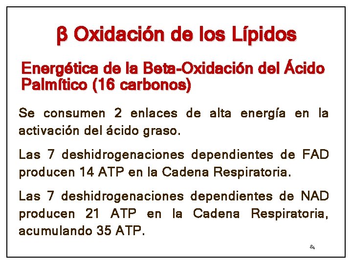 β Oxidación de los Lípidos Energética de la Beta-Oxidación del Ácido Palmítico (16 carbonos)