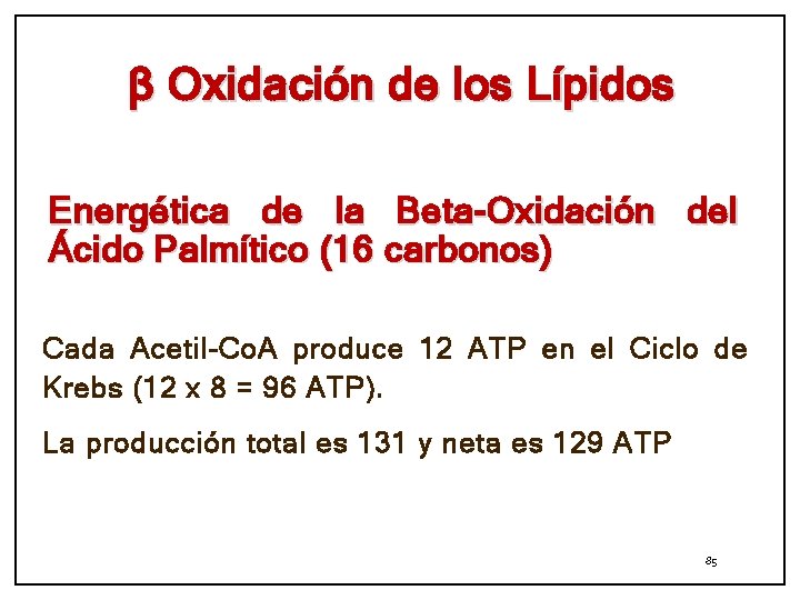 β Oxidación de los Lípidos Energética de la Beta-Oxidación del Á cido Palmítico (16