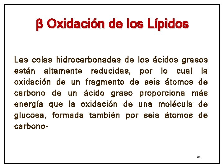 β Oxidación de los Lípidos Las colas hidrocarbonadas de los ácidos grasos están altamente