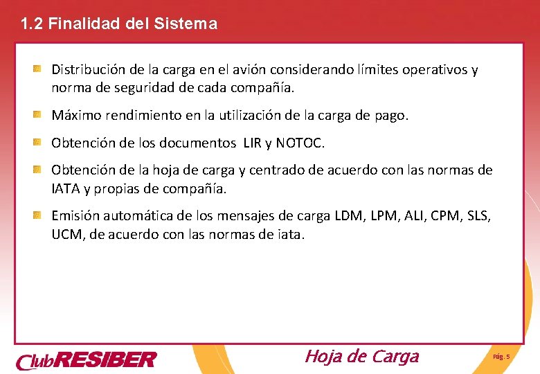 1. 2 Finalidad del Sistema Distribución de la carga en el avión considerando límites 1. 2 Finalidad del Sistema Distribución de la carga en el avión considerando límites