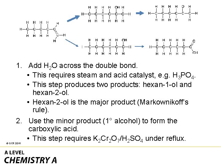 1. Add H 2 O across the double bond. • This requires steam and