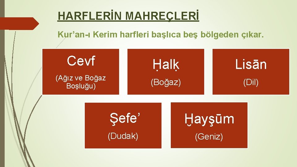 HARFLERİN MAHREÇLERİ Kur’an-ı Kerim harfleri başlıca beş bölgeden çıkar. Cevf Ḥalḳ Lisān (Ağız ve