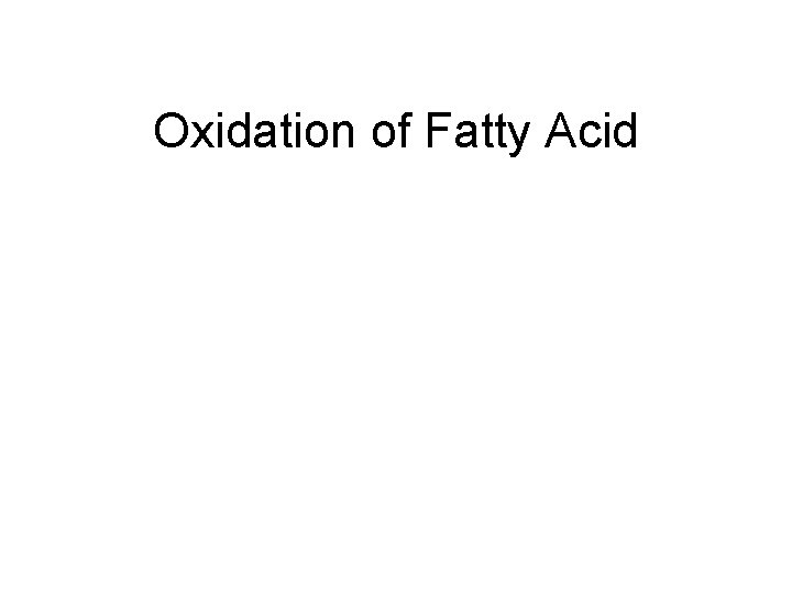 Oxidation of Fatty Acid 