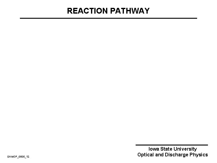 REACTION PATHWAY DAMOP_0505_12 Iowa State University Optical and Discharge Physics 