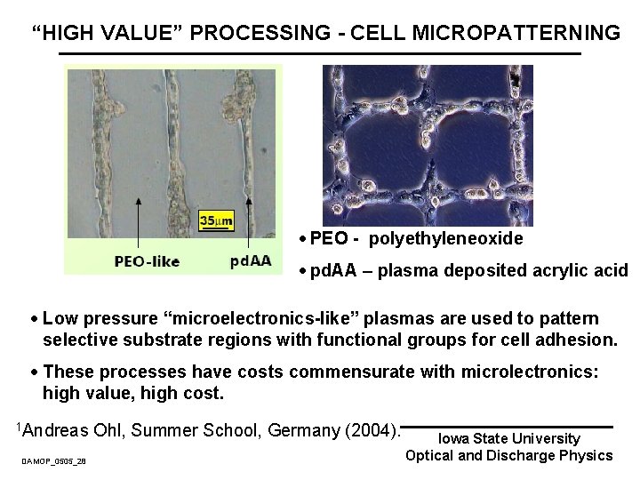 “HIGH VALUE” PROCESSING - CELL MICROPATTERNING · PEO - polyethyleneoxide · pd. AA –