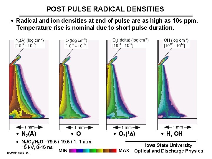 POST PULSE RADICAL DENSITIES · Radical and ion densities at end of pulse are