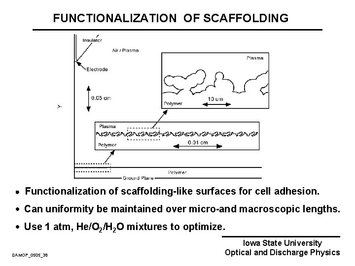 FUNCTIONALIZATION OF SCAFFOLDING Functionalization of scaffolding-like surfaces for cell adhesion. · Can uniformity be