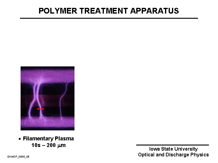 POLYMER TREATMENT APPARATUS · Filamentary Plasma 10 s – 200 m DAMOP_0505_09 Iowa State