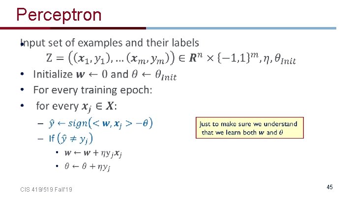 Perceptron • CIS 419/519 Fall’ 19 45 