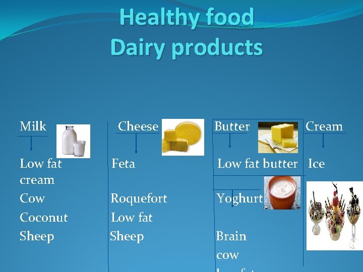 Healthy food Dairy products Milk Low fat cream Cow Coconut Sheep Cheese Butter Cream