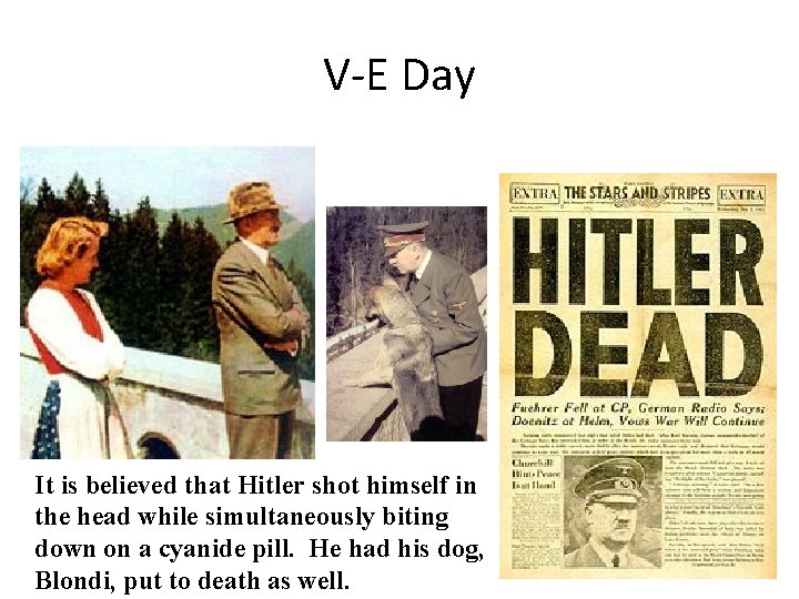 V-E Day It is believed that Hitler shot himself in the head while simultaneously