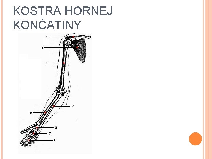 KOSTRA HORNEJ KONČATINY 