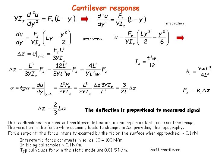 Cantilever response integration The deflection is proportional to measured signal The feedback keeps a