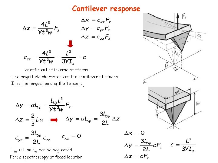 Cantilever response coefficient of inverse stiffness The magnitude characterizes the cantilever stiffness It is