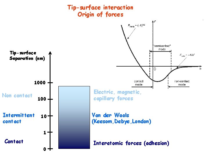 Tip-surface interaction Origin of forces Tip-surface Separation (nm) 1000 Non contact Intermittent contact 100