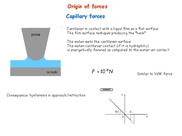 Origin of forces Capillary forces Cantilever in contact with a liquid film on a